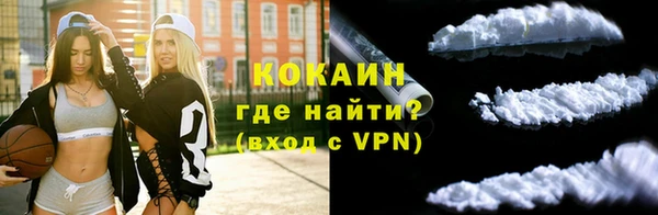 прущие грибы Беломорск