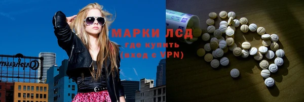 дмт Богданович