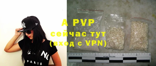 дмт Богданович