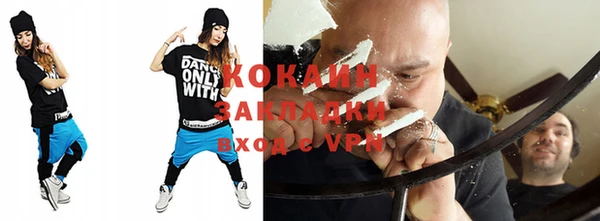 дмт Богданович