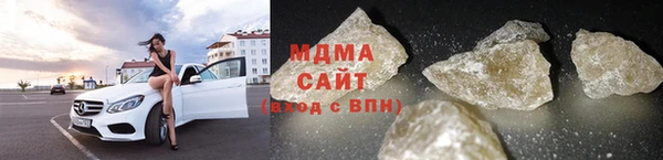 дмт Богданович