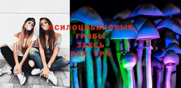 дмт Богданович
